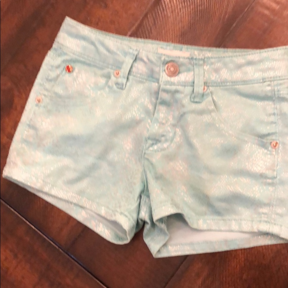 Hudson shorts
